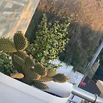 Villa Dei Cedri Garden Apartment