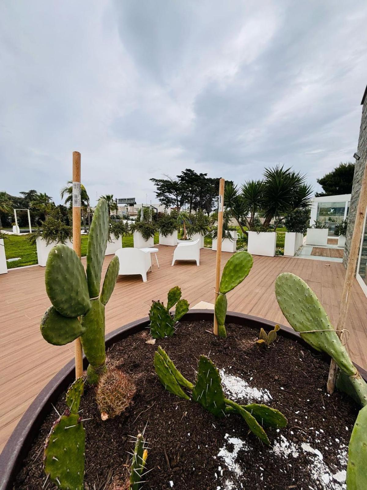 Dei Cedri Garden Villa *