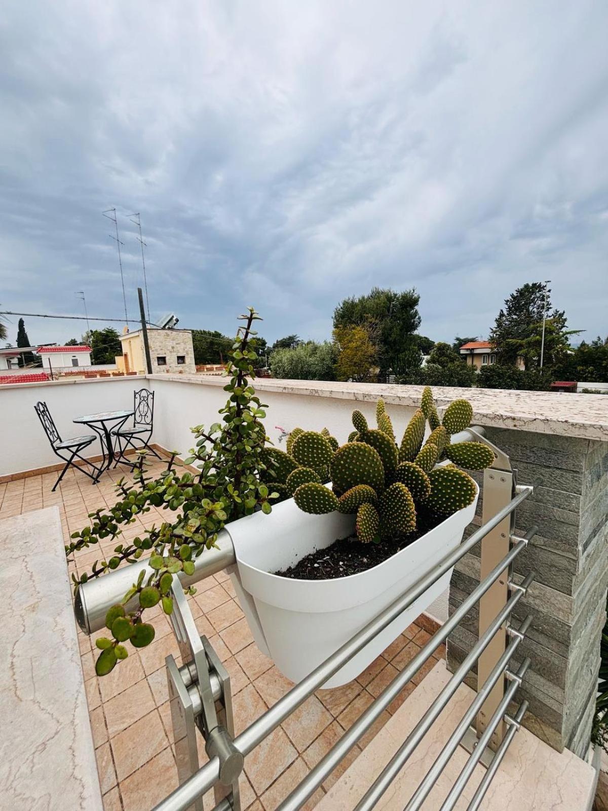 Dei Cedri Garden Villa